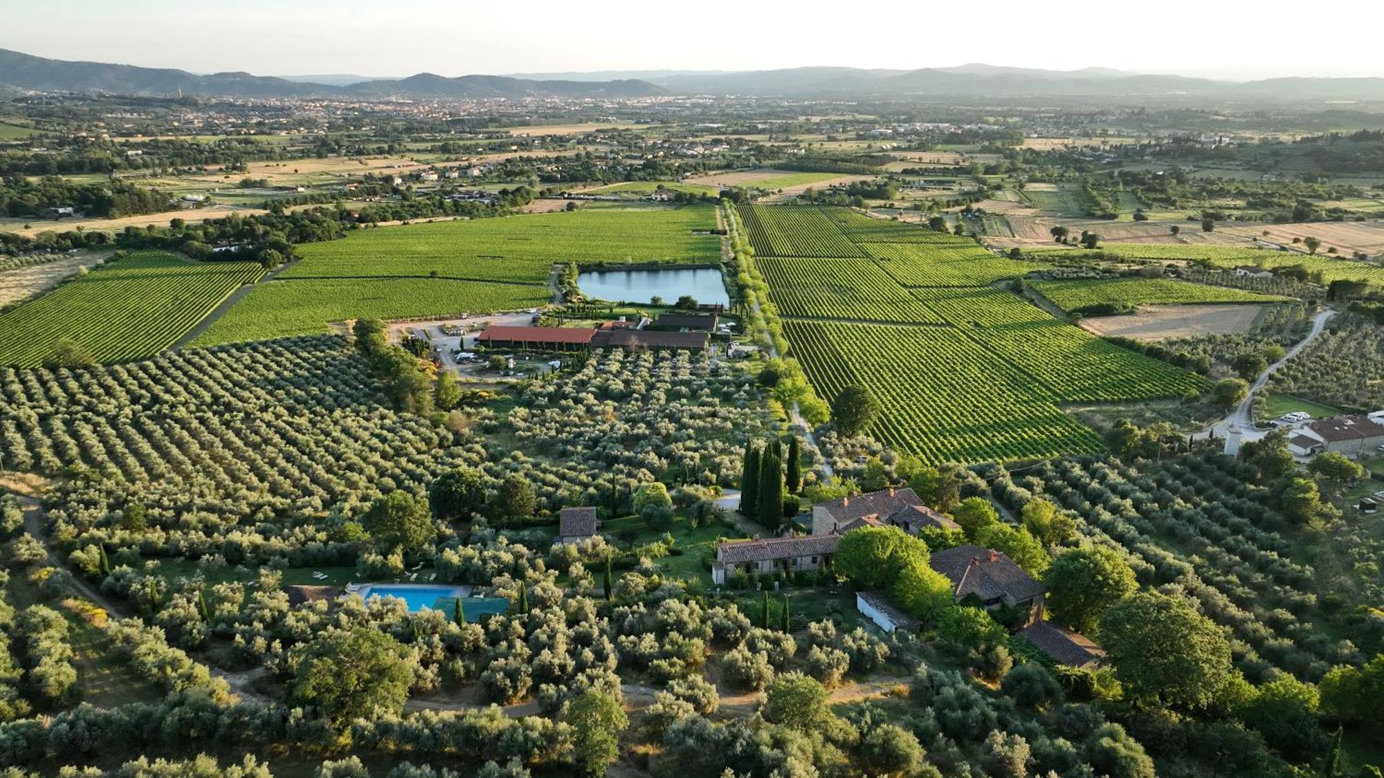 Il Palazzo - Agriturismo, Winery Arezzo Exterior photo
