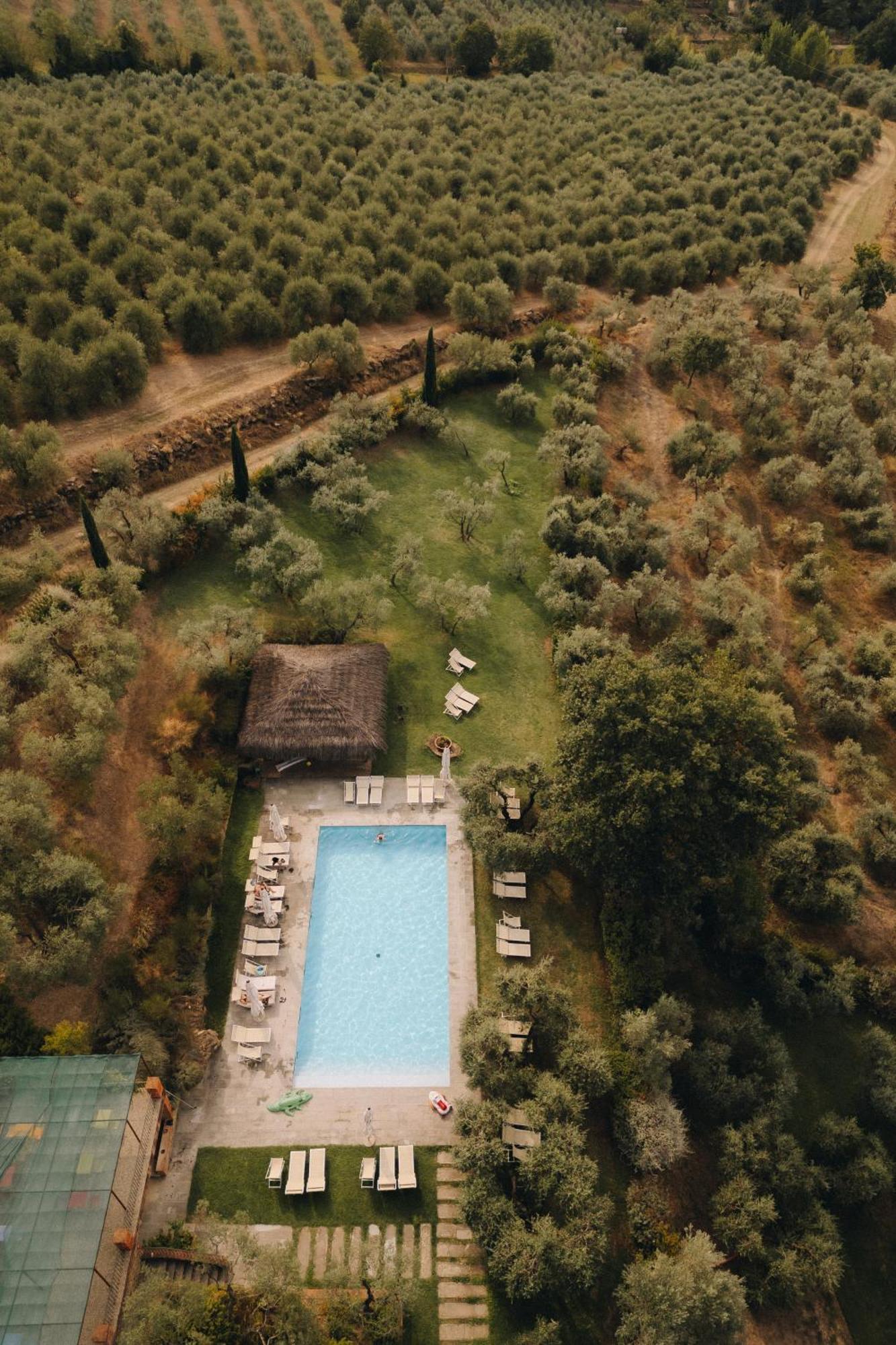 Il Palazzo - Agriturismo, Winery Arezzo Exterior photo